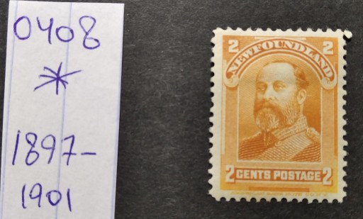 Zdjęcie oferty: 0408 Newfoundland Kanada 1897-1901 *