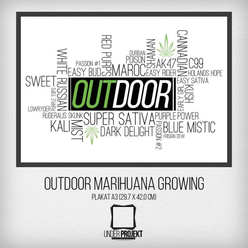 Zdjęcie oferty: Plakat Outdoor Marihuana Growing - rozmiar a3