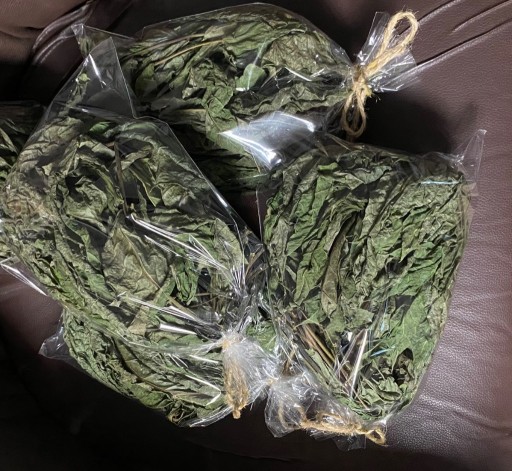 Zdjęcie oferty: Liście orzech włoski - suszone