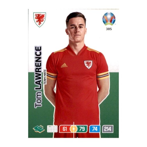 Zdjęcie oferty: UEFA EURO 2020 Team Mate Tom Lawrence 385