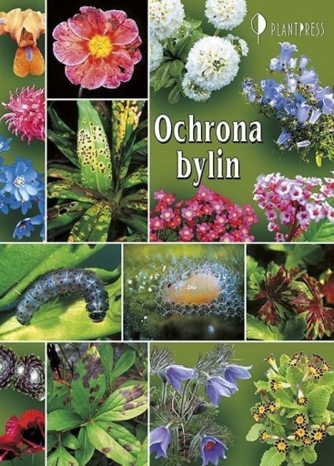 Zdjęcie oferty: Ochrona bylin - Gabriel Łabanowski