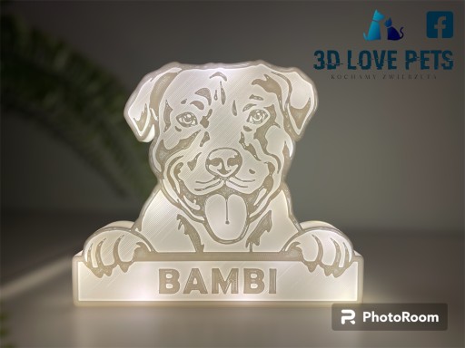 Zdjęcie oferty: Lampka, figurka LED Pitbull (imię psa)