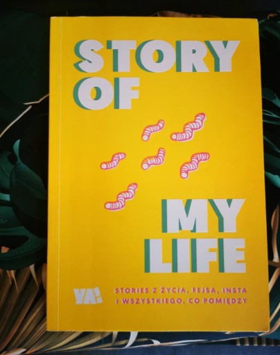 Zdjęcie oferty: Story of my life książka dla młodzieży 