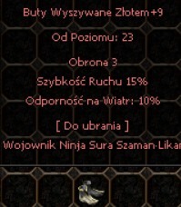 Zdjęcie oferty: EQ Polska Metin2 Buty ABS na Wiatr +9 GG:68705849