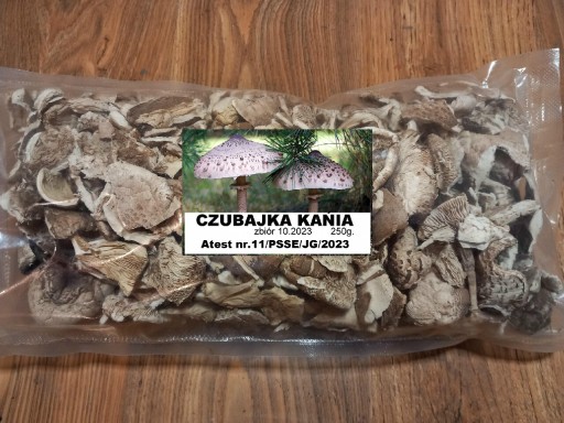 Zdjęcie oferty: Suszona CZUBAJKA KANIA 250g. Atest