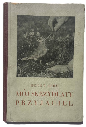 Zdjęcie oferty: MÓJ SKRZYDLATY PRZYJACIEL