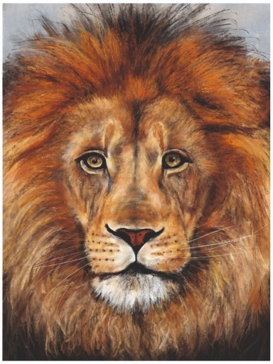 Zdjęcie oferty: PLAKAT A3 LEW lion Król dżungli sawanna MONTESSORI