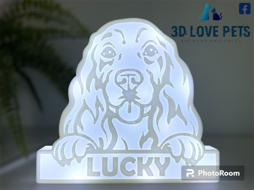 Zdjęcie oferty: Lampka, figurka LED Cocker Spaniel (imię psa)