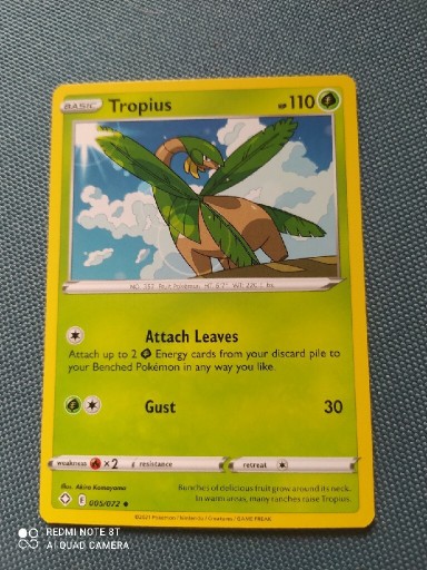 Zdjęcie oferty: Pokemon tcg 005/072