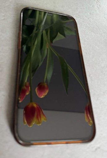 Zdjęcie oferty: Smartfon Apple iPhone 12 Pro Max 6 GB/256GB szary