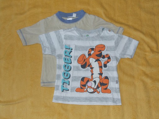Zdjęcie oferty: Dwie bluzki krótki rękaw, tygrysek