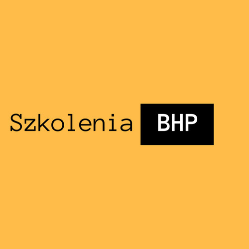 Zdjęcie oferty: Szkolenie BHP dla Pracownika  