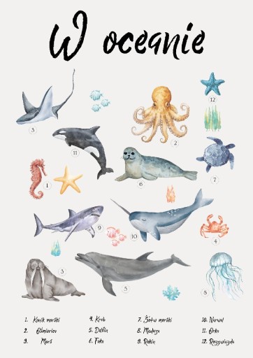 Zdjęcie oferty: Plakat edukacyjny A4 zwierzęta w oceanie