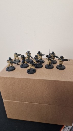 Zdjęcie oferty: Astra Militarum 10 x Shock Troops