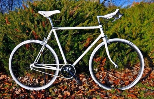 Zdjęcie oferty: Kultowy rower single speed 