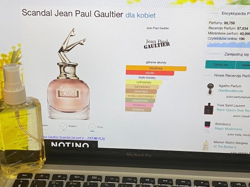 Zdjęcie oferty: Gaultier Scandal