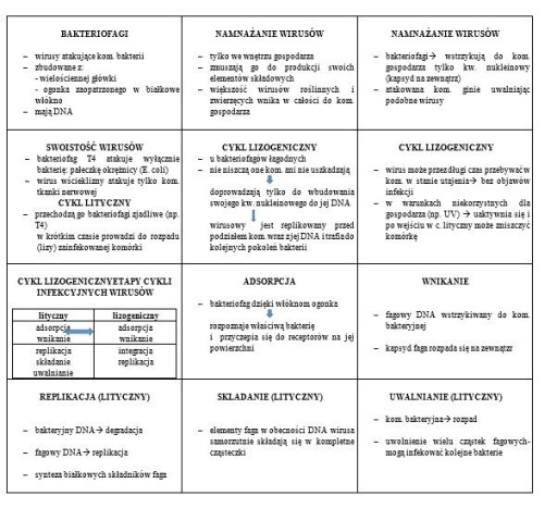 Zdjęcie oferty: Fiszki - notatki z biologii- pliki pdf do wydruku