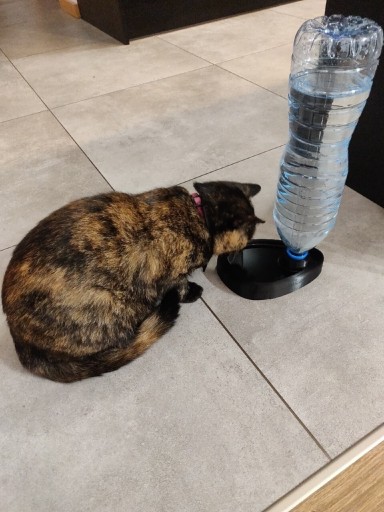 Zdjęcie oferty: Miska grawitacyjna na wodę dla kota/psa