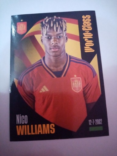 Zdjęcie oferty: * World class naklejki 2024 NICO WILLIAMS 322