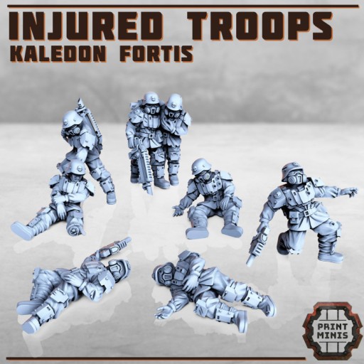 Zdjęcie oferty: Injured Soldiers - Kaledon Fortis - Print Minis