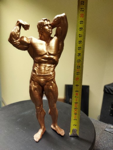 Zdjęcie oferty: Arnold Schwarzenegger figurka 20cm kulturystyka 
