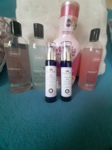 Zdjęcie oferty: Zestaw CLOCHEE I INNE nowe zobacz warto 