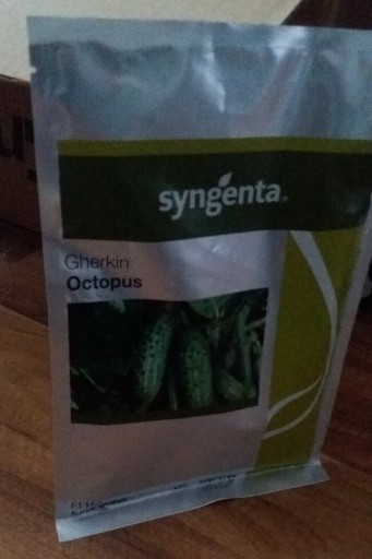 Zdjęcie oferty: Syngenta Octopus 5000 nasion ogórka gruntowego 