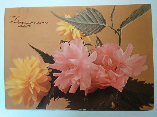 Zdjęcie oferty: Kwiaty rośliny fot. Hoffmann KAW 1980