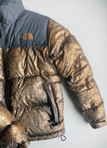 Zdjęcie oferty: KURTKA NORTH FACE 700 unikat jedyna