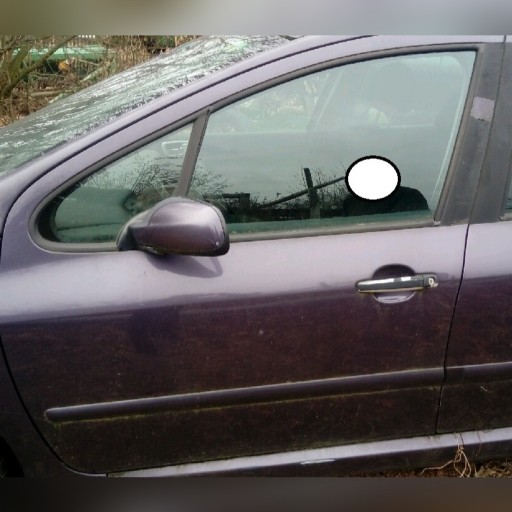 Zdjęcie oferty: Drzwi przód,tył-Prawe  Lewe Peugeot 307 fiolet