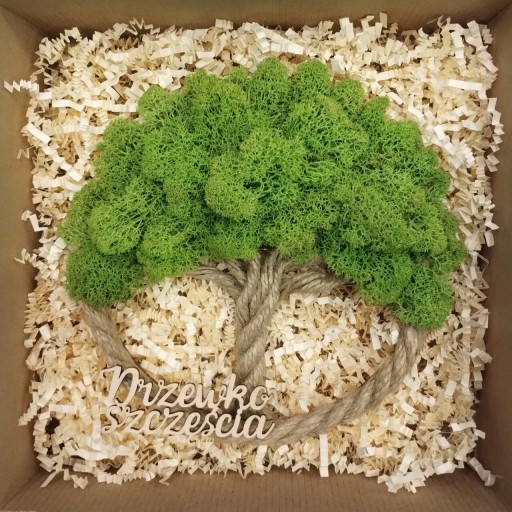 Zdjęcie oferty: Drzewko Szczęścia Chrobotek, prezent na urodziny, imieniny, rocznica 22cm