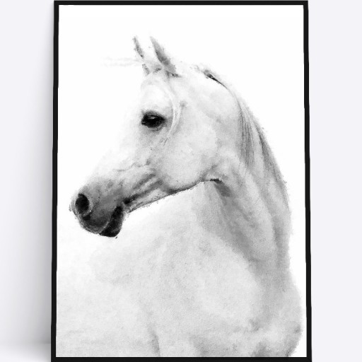 Zdjęcie oferty: A3 Plakat biały koń obraz reprodukcja do salonu