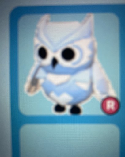 Zdjęcie oferty: Snow owl ride adopt me roblox