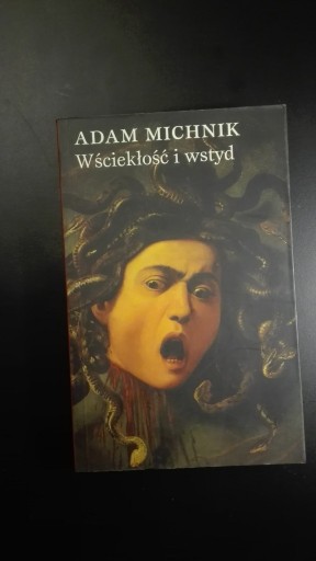 Zdjęcie oferty: Adam Michnik Wściekłość i wstyd