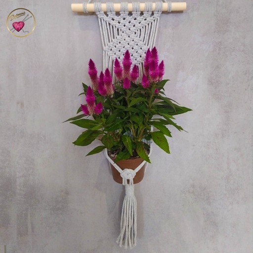 Zdjęcie oferty: Makramowy kwietnik na ścianę - ok. 65cm, handmade
