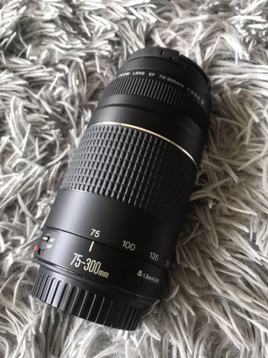 Zdjęcie oferty: Canon 75-300mm EF