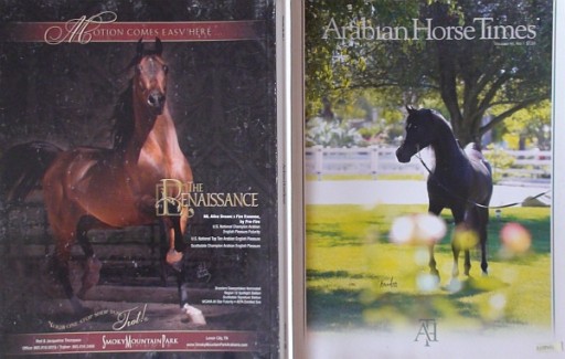 Zdjęcie oferty: "ARABIAN HORSE TIMES", nr 6.2015 (June), araby