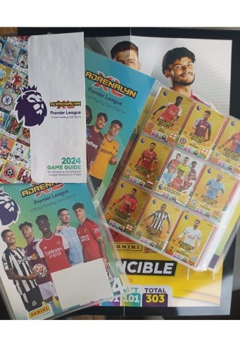 Zdjęcie oferty: Panini Premier League 2024 Kompletna Kolekcja Kart