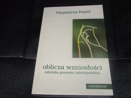 Zdjęcie oferty: OBLICZA WZNIOSŁOŚCI ESTETYKA POWIEŚCI MAŁOPOLSKIEJ