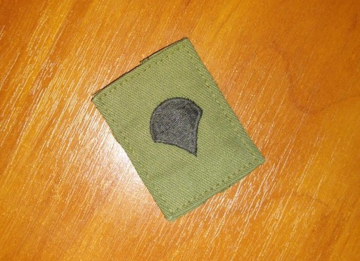 Zdjęcie oferty: Naszywka - US Army - Specialist 4 E-4 (OD Subdued) SPC - (Hook & Loop)