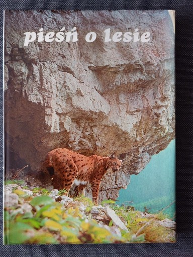 Zdjęcie oferty: PIEŚŃ O LESIE, 1981