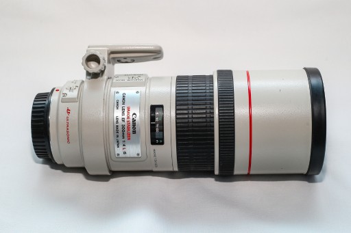 Zdjęcie oferty: Obiektyw Canon 300 mm f/4.0 L EF IS USM