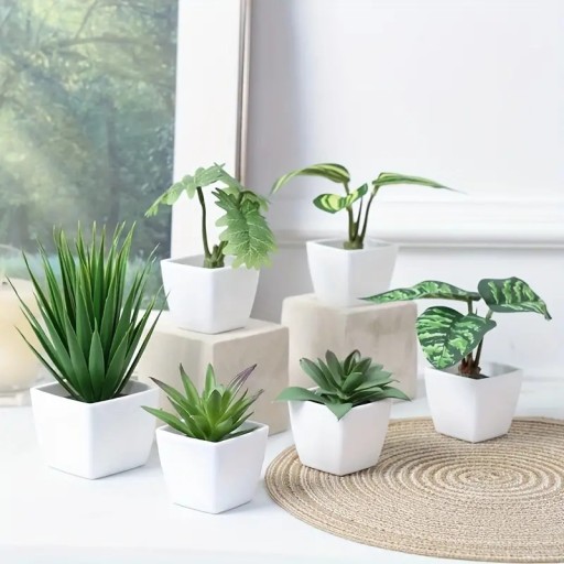 Zdjęcie oferty: Zestaw 6 mini roślinek doniczkowych dekoracja