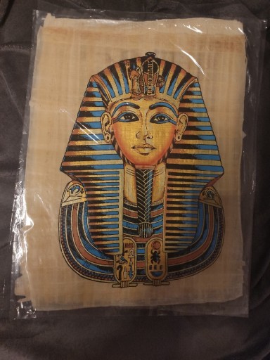 Zdjęcie oferty: Papirus z obrazem z Egiptu z doliny królów 