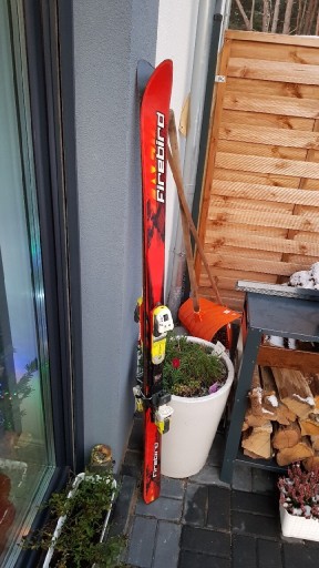 Zdjęcie oferty: Narty firebird 170 cm z zapieciami stan b.dobry.