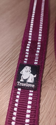 Zdjęcie oferty: Smycz dla psa Truelove Active
