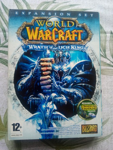 Zdjęcie oferty: World Of Warcraft Wrath Of The Lich King PC