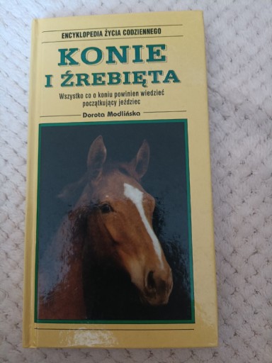 Zdjęcie oferty: NOWY Konie i źrebięta Dorota Modlińska 