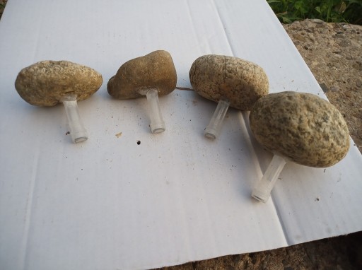 Zdjęcie oferty: Kamień grzyb grzybek maskowanie geocaching 2ml
