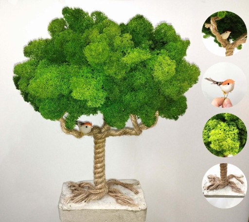 Zdjęcie oferty: Drzewko Szczęścia Mech Chrobotek Bonsai